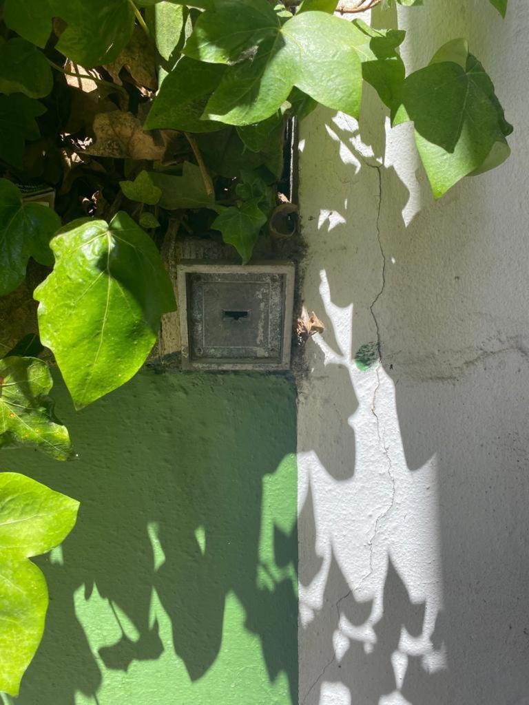 Rentalsevilla San Clemente Zewnętrze zdjęcie