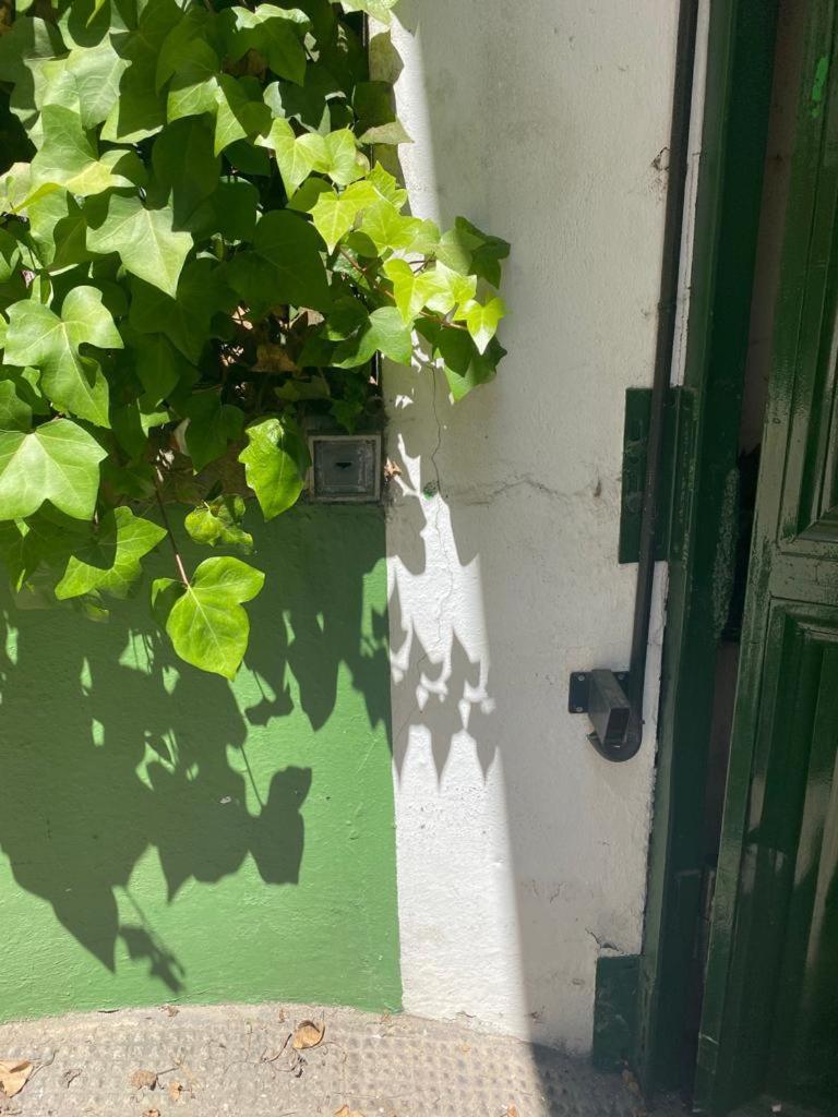 Rentalsevilla San Clemente Zewnętrze zdjęcie