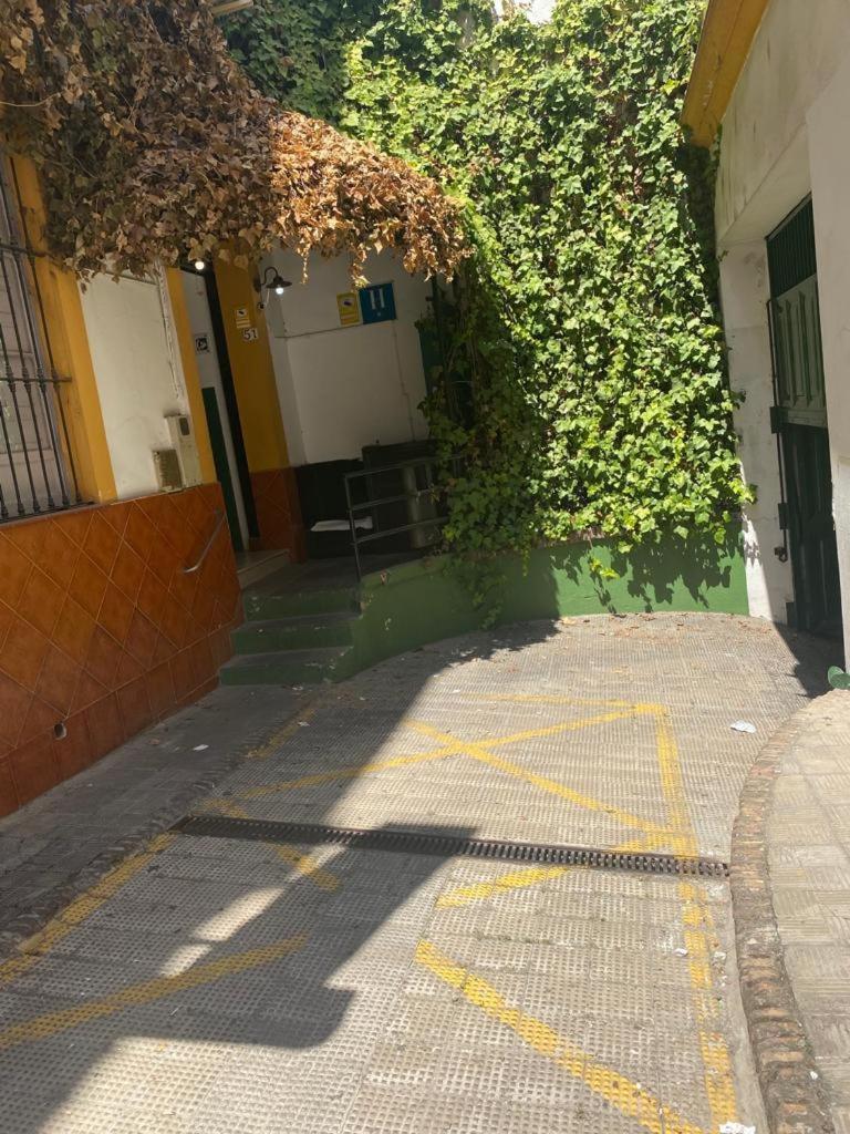 Rentalsevilla Moderno Apartamento En Santa Cruz Con Parking Para Coche Mediano Zewnętrze zdjęcie