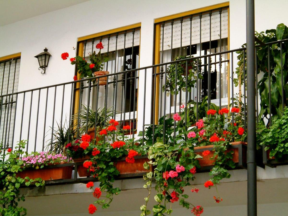 Rentalsevilla San Clemente Zewnętrze zdjęcie